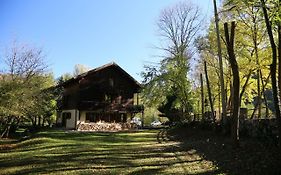 Le Grand Saule