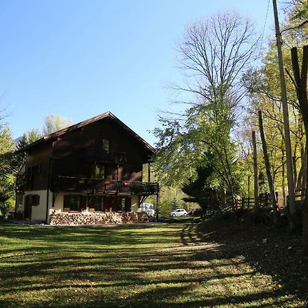 Appartement Le Grand Saule à Aston Extérieur photo